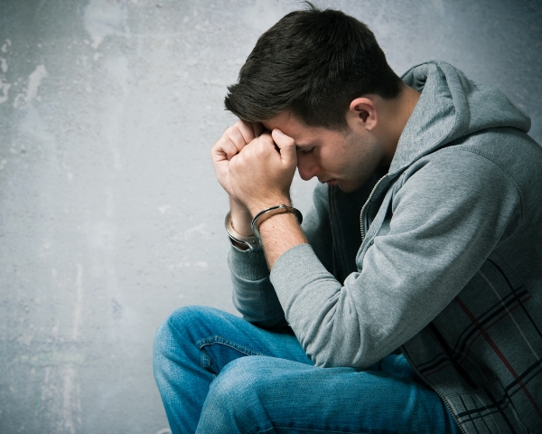 Lawyers in Plymouth & Northville | The Law Office of Raymond - novi1
